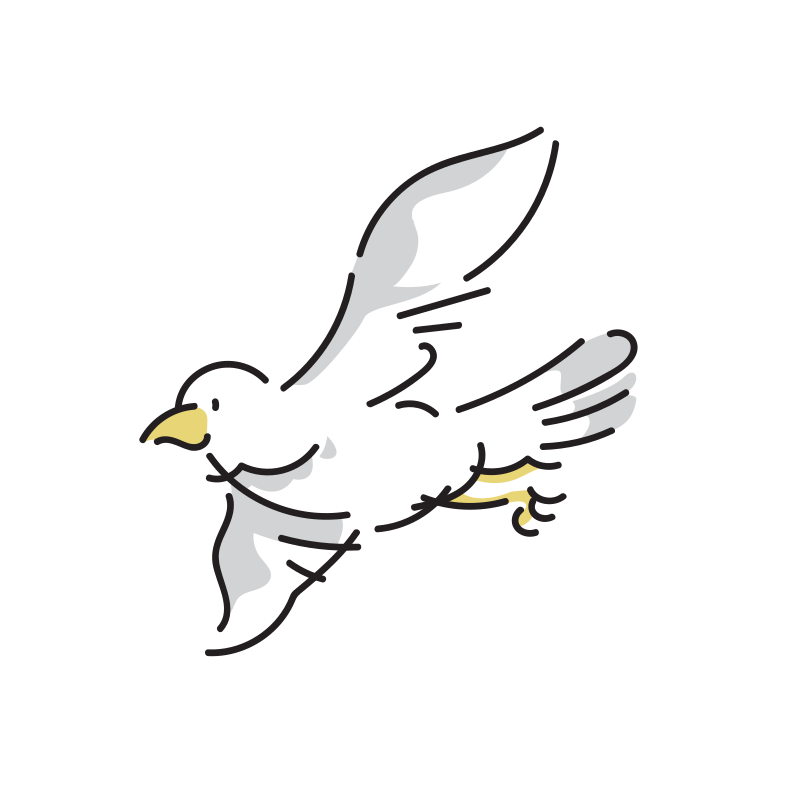 奇跡の瞬間】鳥の背中に乗って空を飛ぶイタチが可愛すぎる!! (2015年3月4日) - エキサイトニュース 空を飛ぶ鳥のイラスト | Loose Drawing | 無料で商用利用可なフリーイラスト