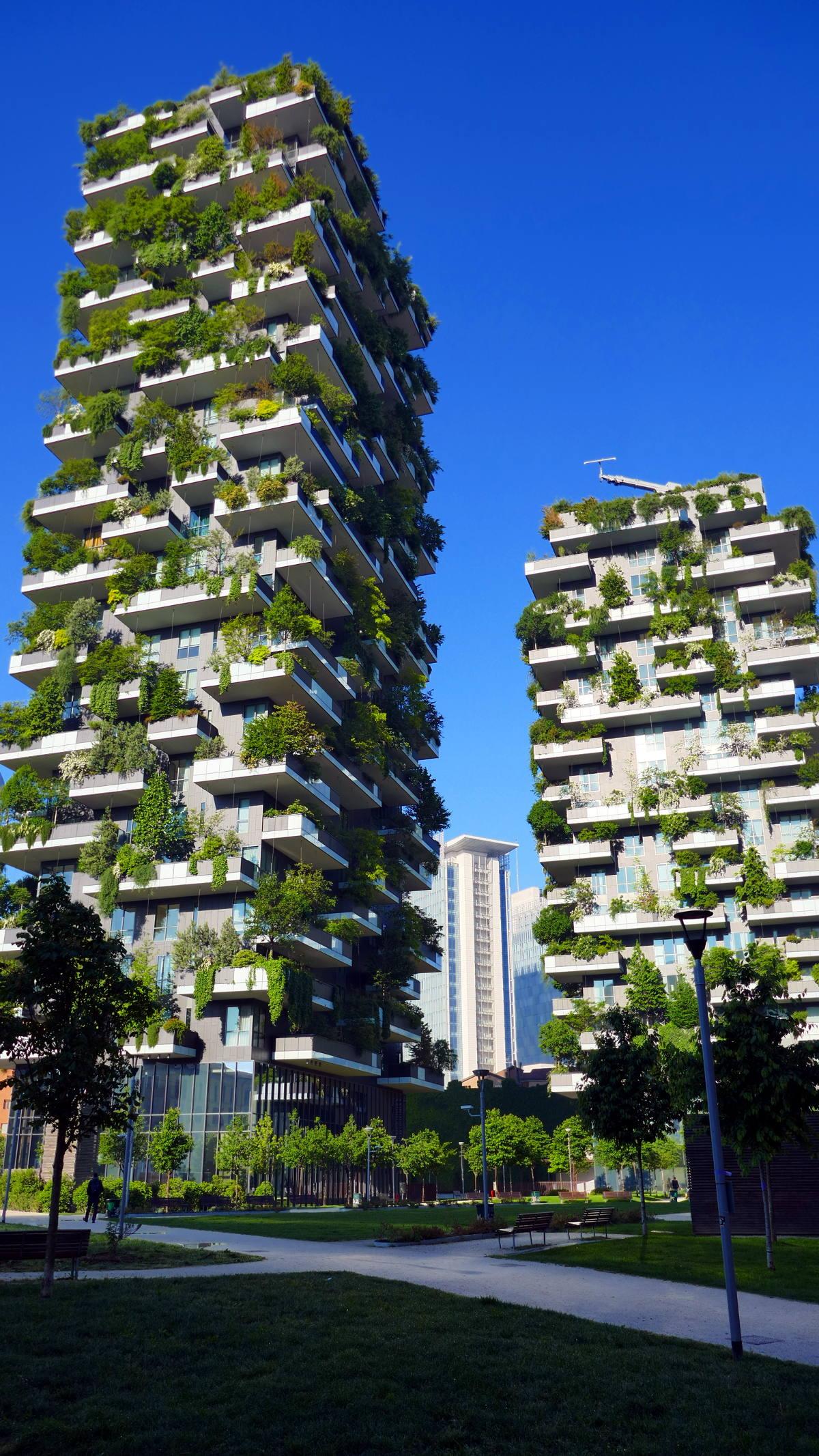 Trik Dan Tips Case In Vendita Bosco Verticale Referensi