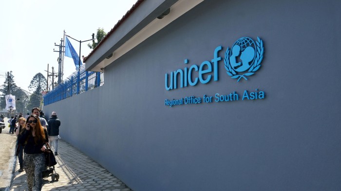 Jabatan di unicef