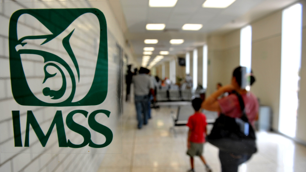 CNDH solicita medidas cautelares al IMSS por interrumpir quimioterapias de  una paciente con cáncer en Jalisco