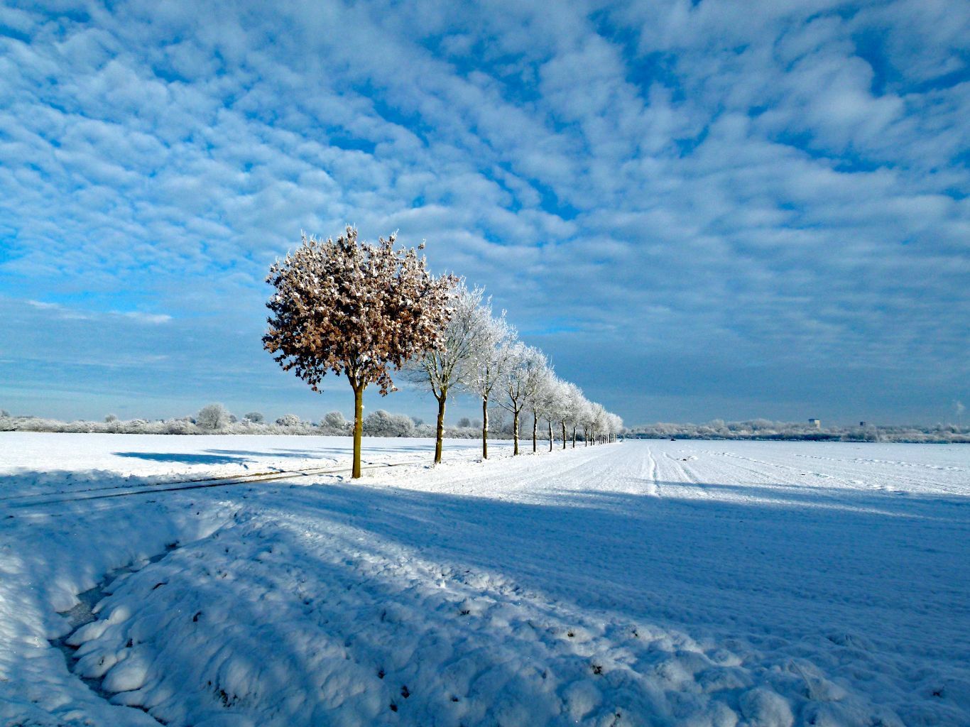 Jetzt abstimmen für das JanuarLopoKalenderFoto