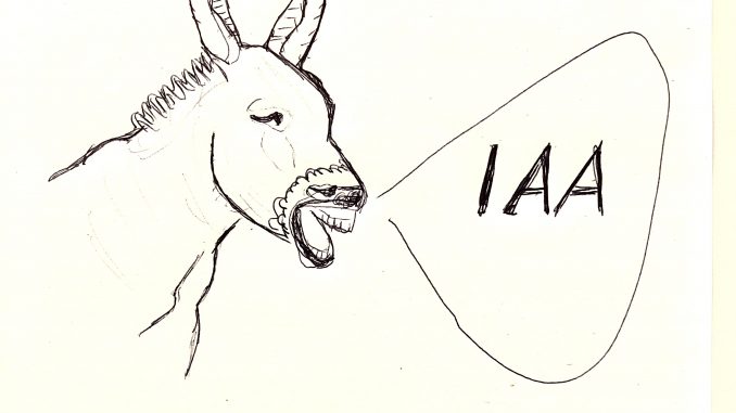Iaa München Protest . Ssuwdeovmmanwm