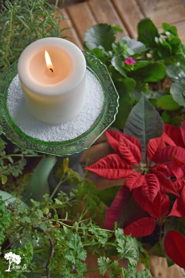 35+ Decorative Bowl Filler Ideas for Beautiful (& easy) Winter and