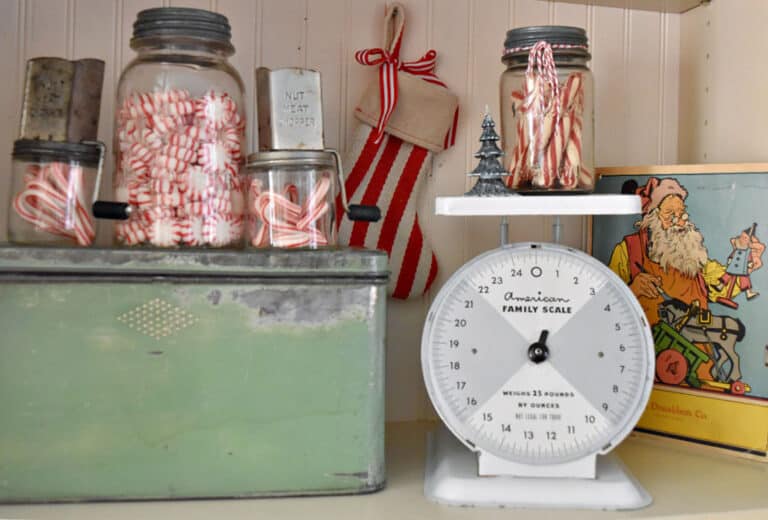 35+ Decorative Bowl Filler Ideas for Beautiful (& easy) Winter and