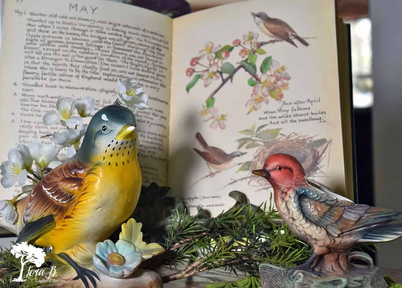 5 Tips for Theme Building Bird Themed Decor Lora Bloomquist