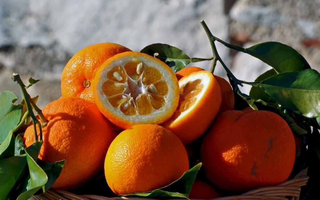 Oranges amères 3 Kg L'orangexpress