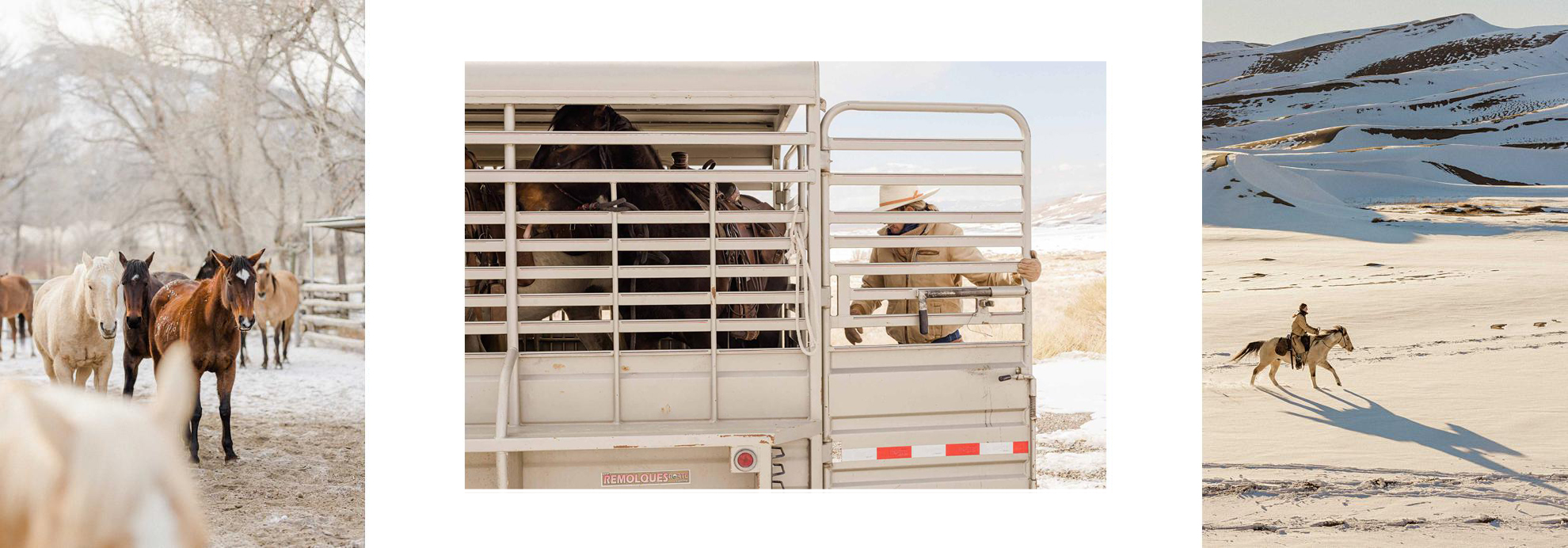 Ranchlands Zapata Ranch Loren DeMarco Photography