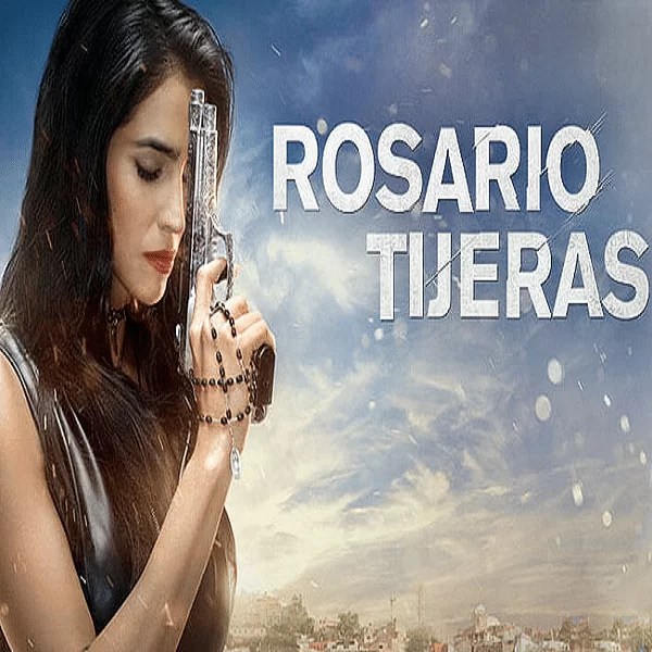 ROSARIO TIJERAS LIBRO DE FRANCO RESUMEN