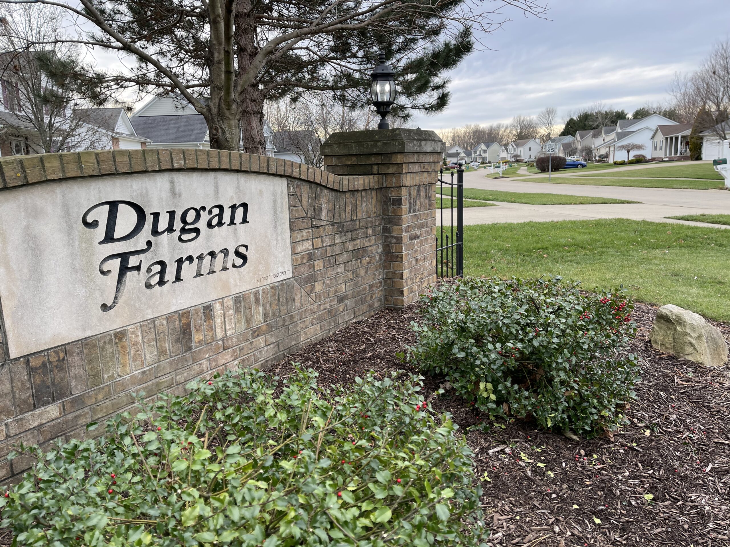 Dugan Farms Loreto Development