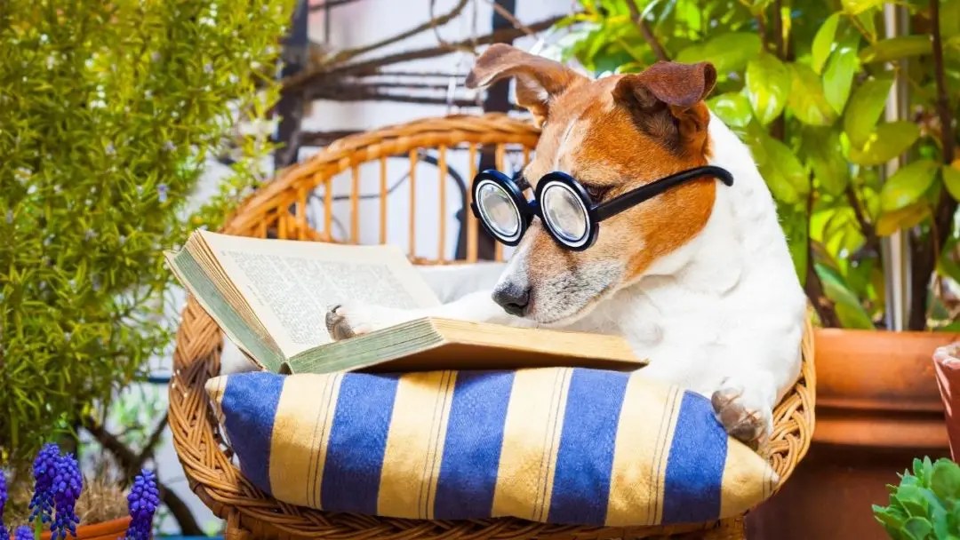 How To Start A Channel On Youtube Reading Books Lori Ballen 2022