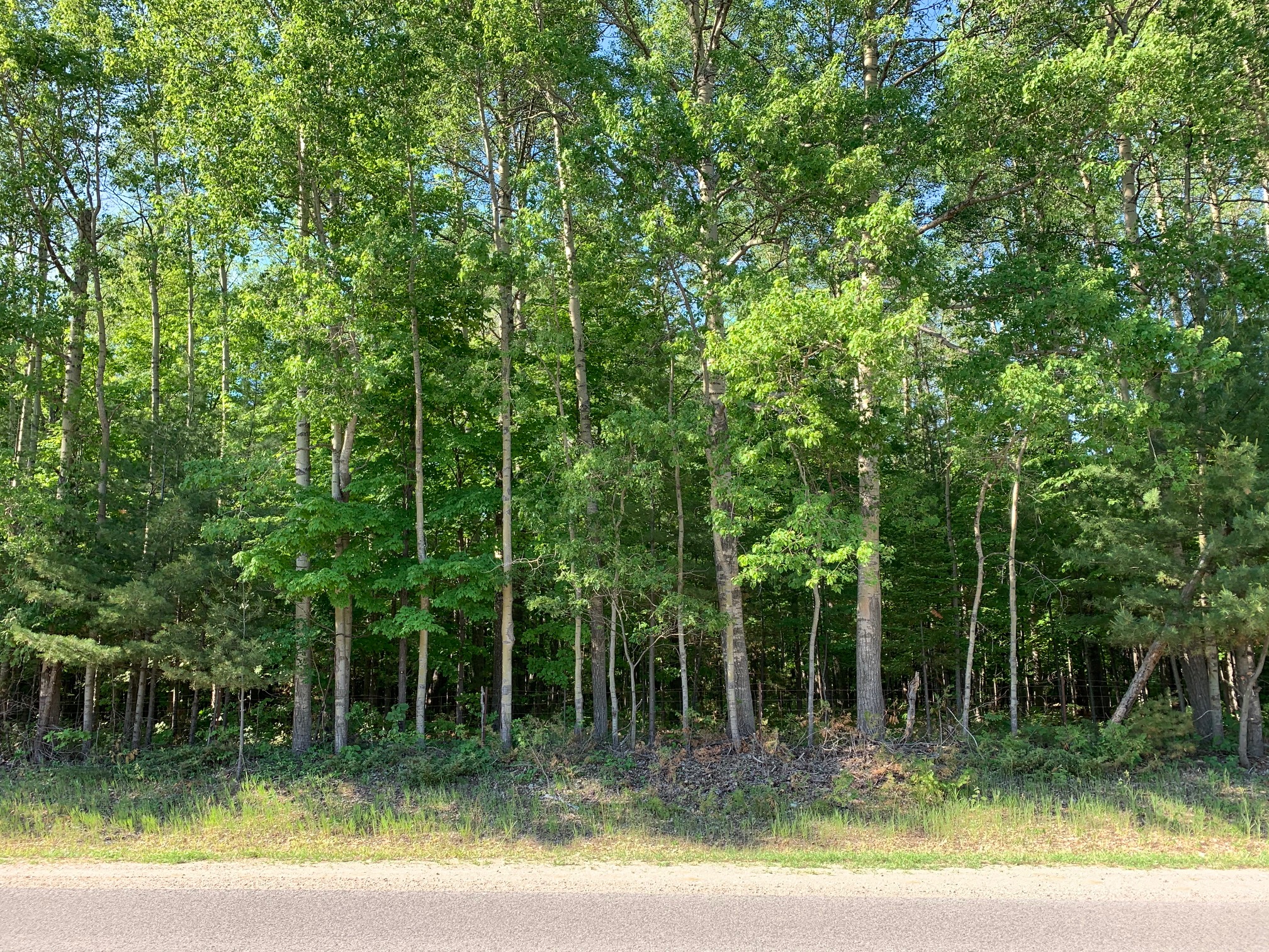 Lori Ingram Real Estate Part 2 Lot 8 Burnstown Road, White Lake