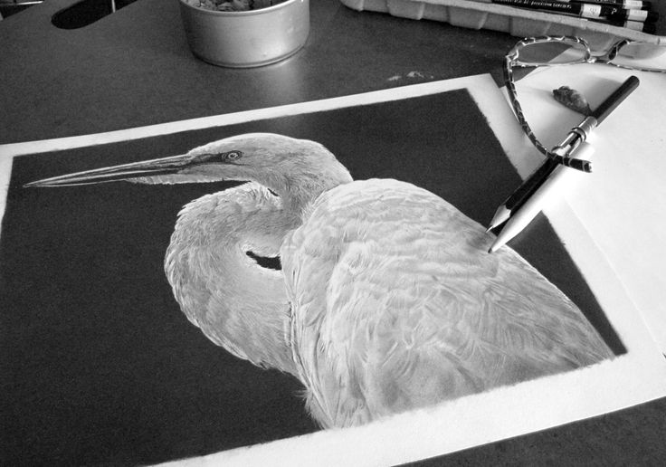 Helpful Negative Drawing Tips Revealed By Pencil Artist