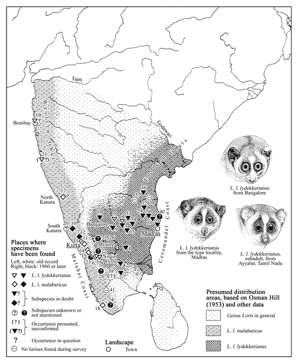 Slender loris distribution maps, locality information
