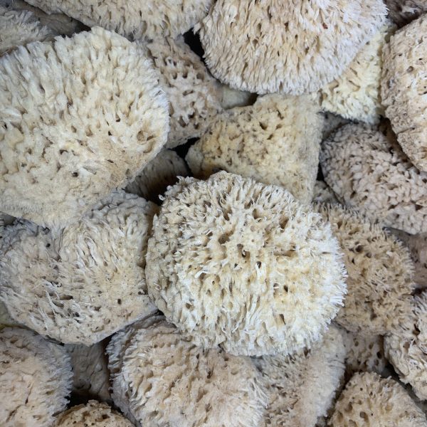 wool sponges Lori's Soap Shop