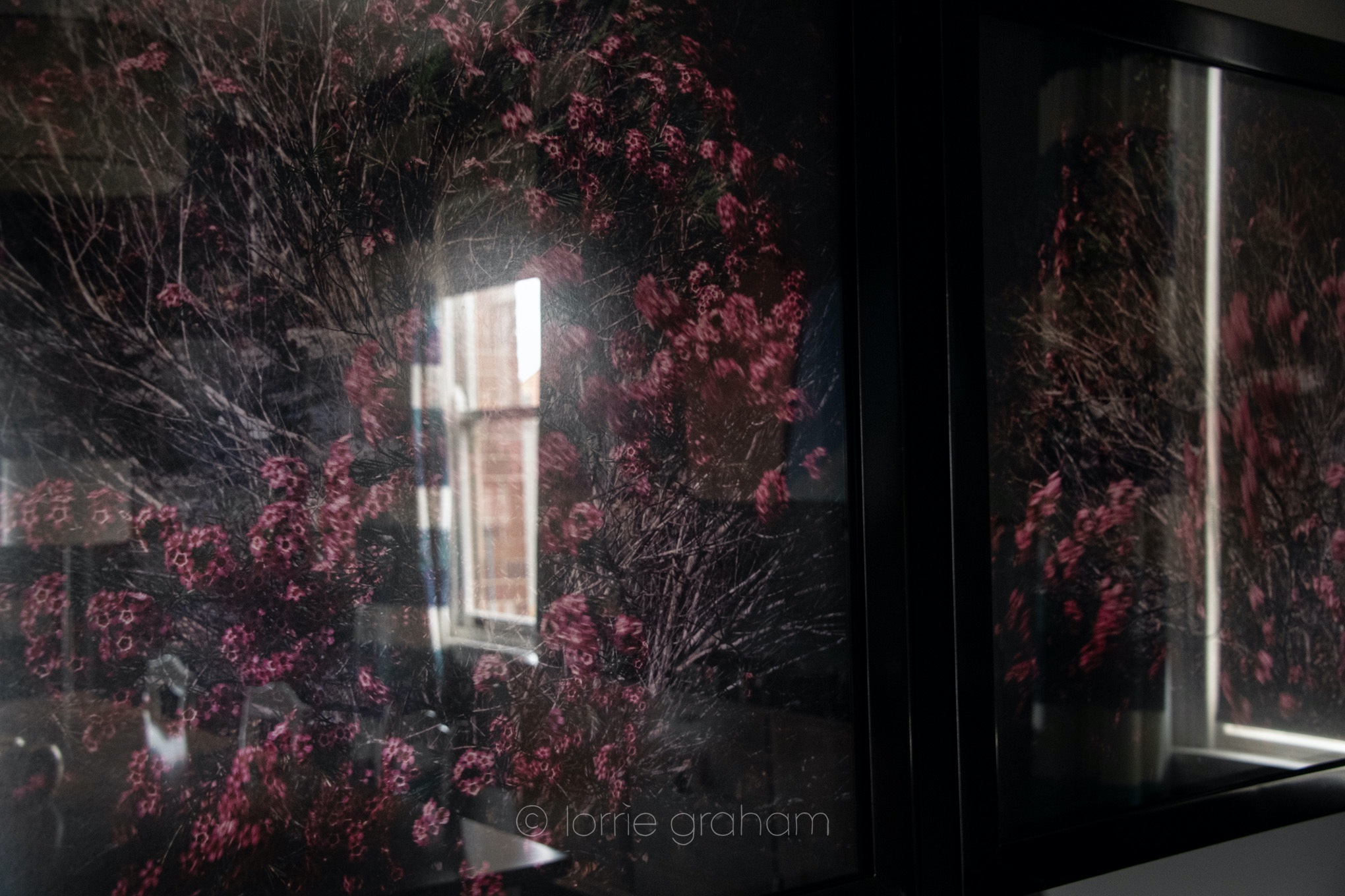 Chrissie Jeffery's Style Colour, Texture, Proportion lorrie graham