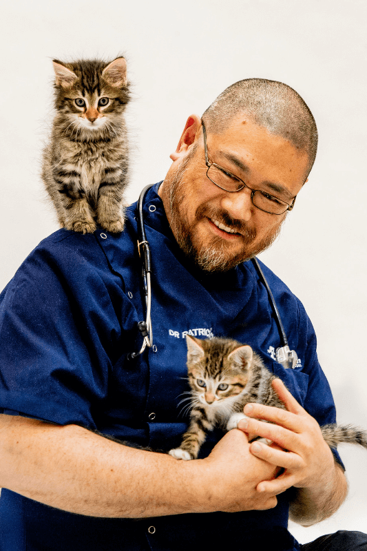 Services at Lort Smith providing the best healthcare for your pet