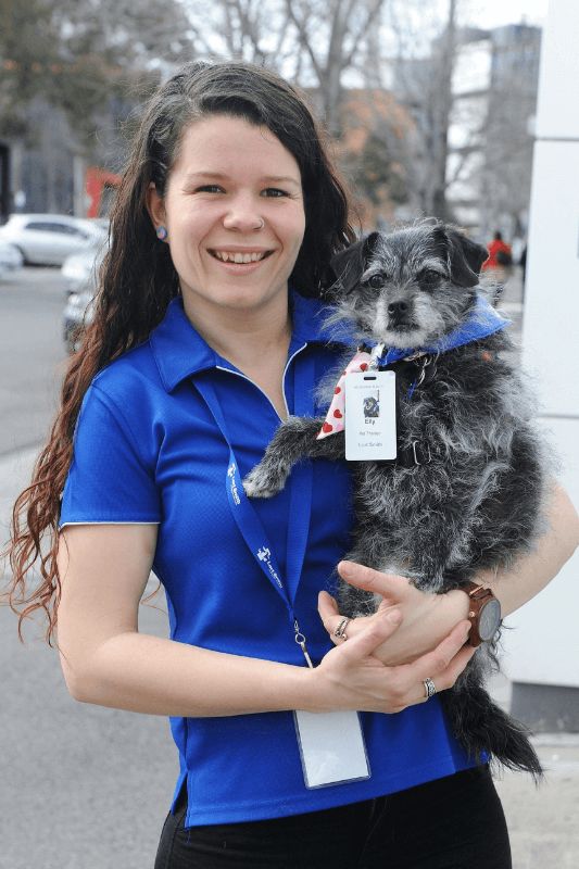 Our Programs Lort Smith Animal Hospital