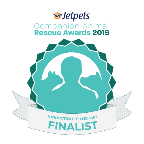 Lort Smith acknowledged for Innovation in Rescue award Lort Smith