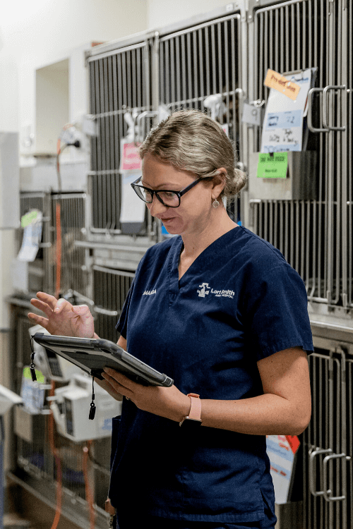 Patient wards Lort Smith Animal Hospital