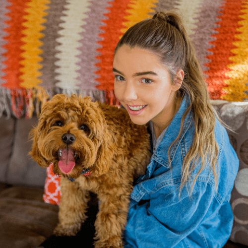 Lort Smith new rental laws as good news for pets and pet