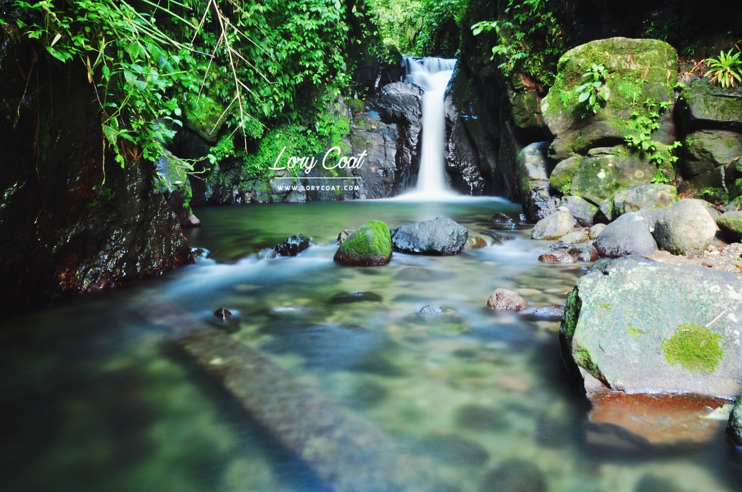 Galerie de photos de rivières en Martinique Lory Coat