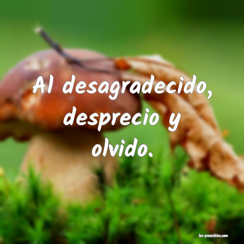 Al desagradecido, desprecio y olvido.
