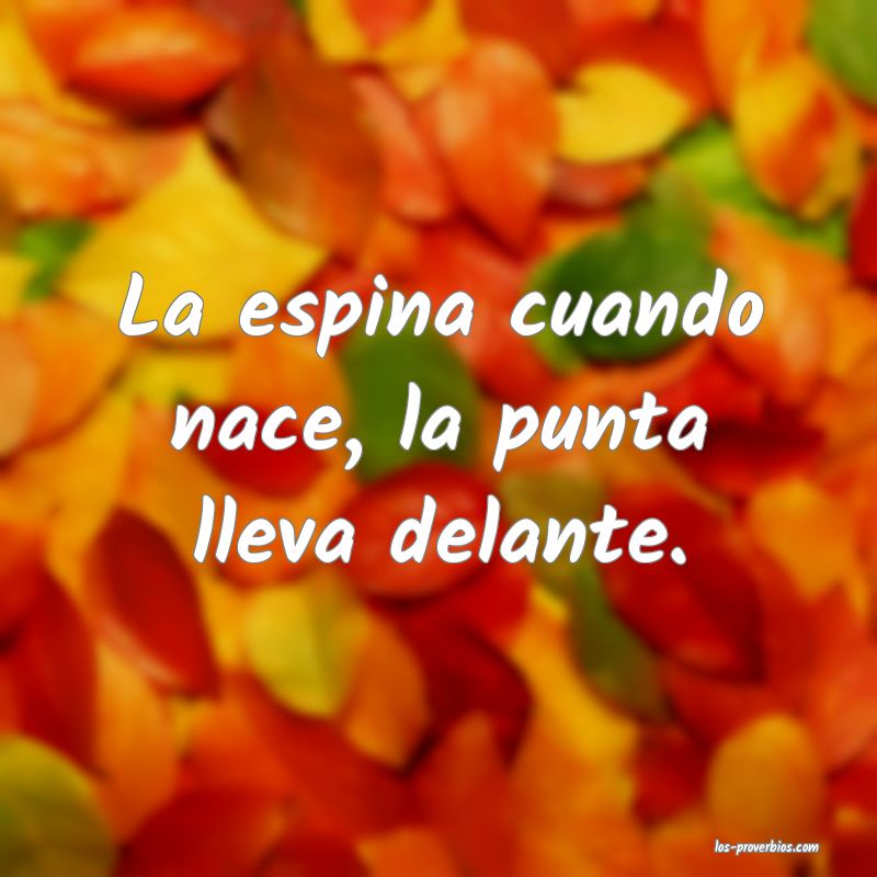 La espina cuando nace, la punta lleva delante.