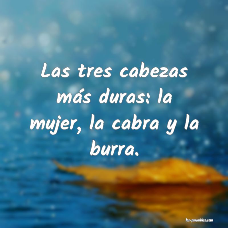 A la mujer y a la burra, cada día una zurra.