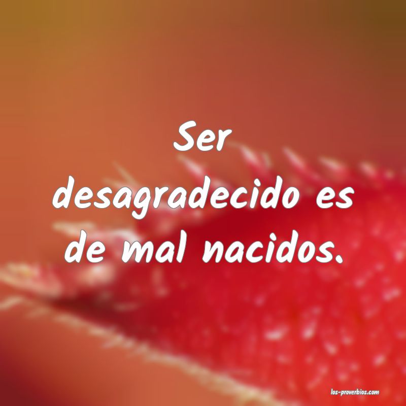 Ser desagradecido es de mal nacidos.