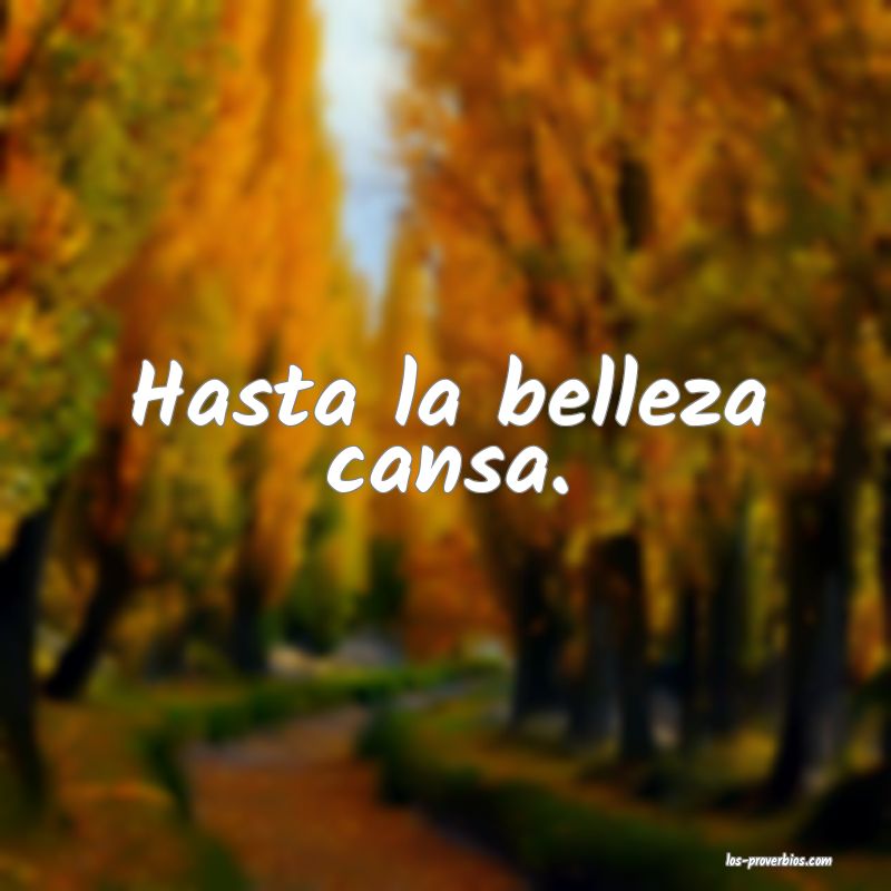 Hasta la belleza cansa.