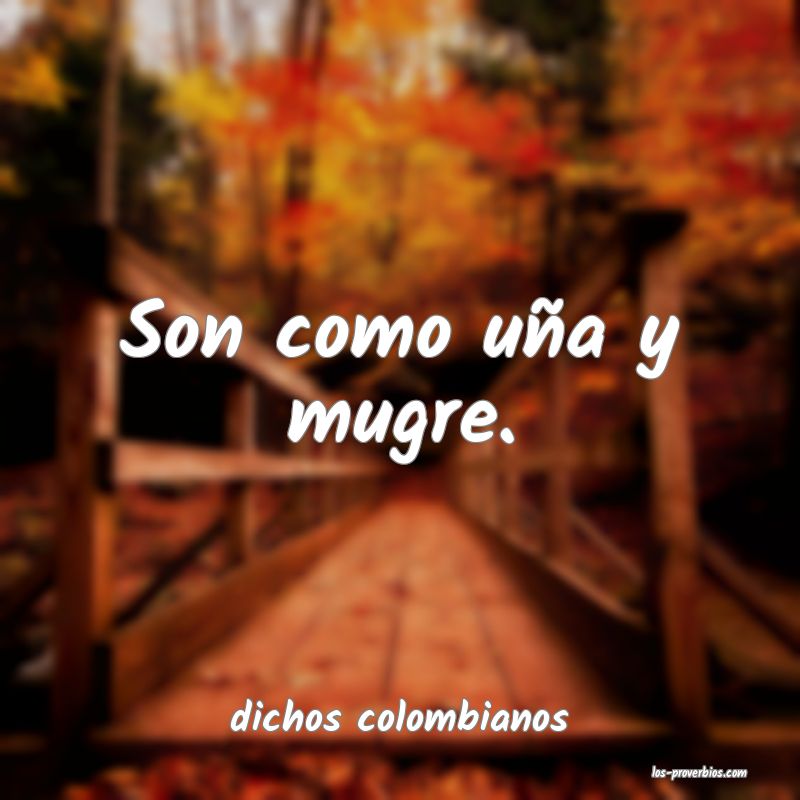 Son como uña y mugre.