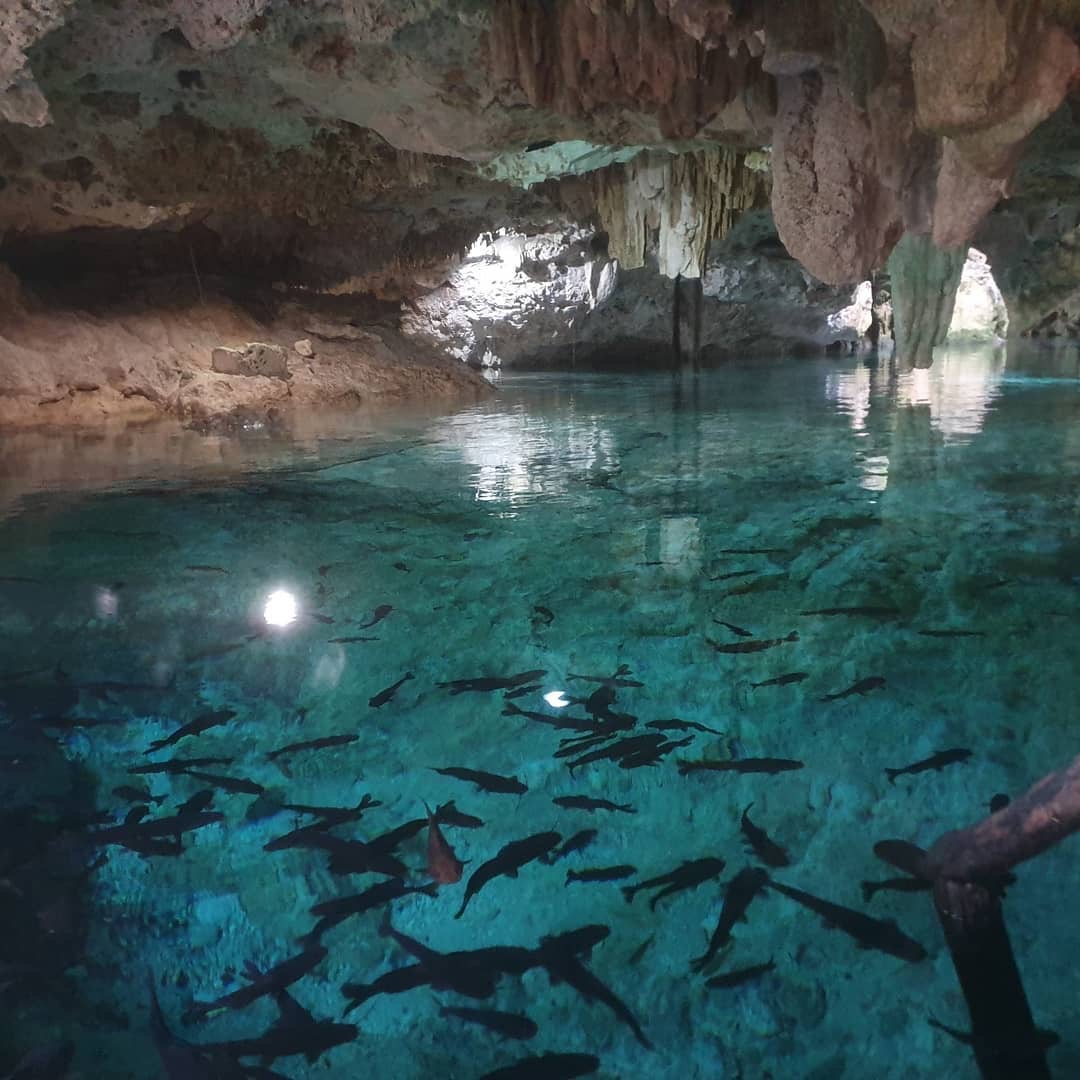 Los 9 cenotes más impresionantes de la Riviera Maya Blog Los Amigos