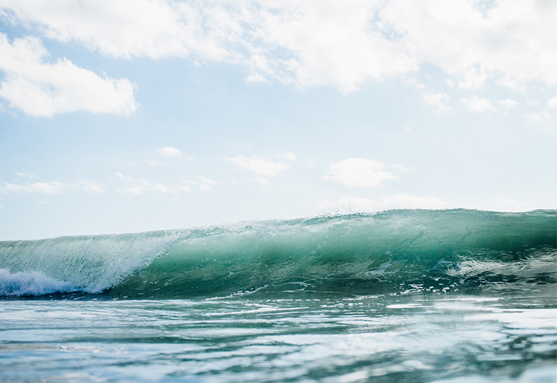 ABOUT US Los Angeles Surfing Lessons