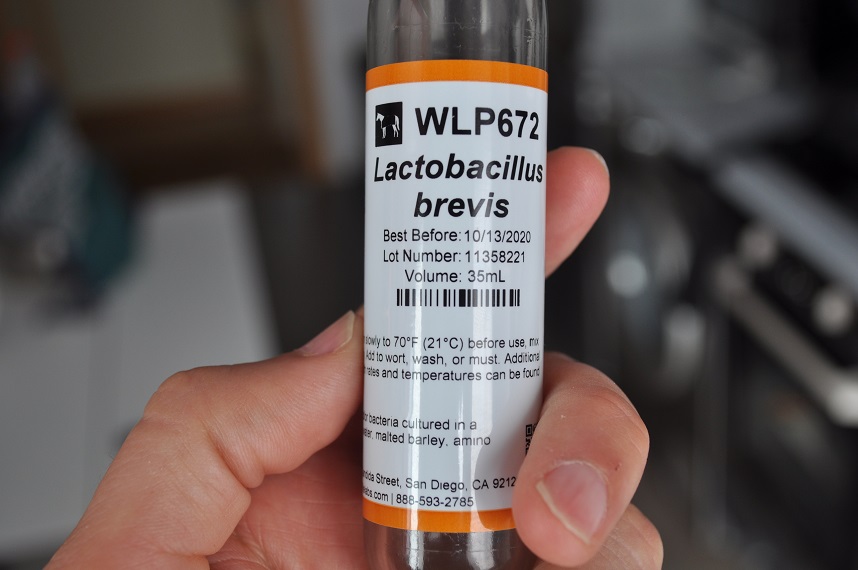 Sour ale fermented with Kveik and Lactobacillus and with lots and lots