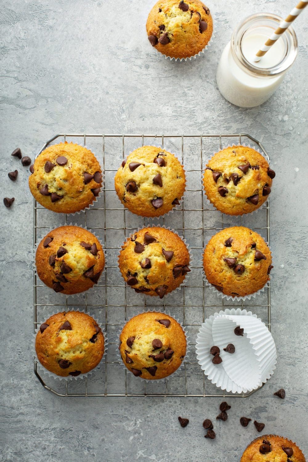 Low Calorie Chocolate Chip Muffins Lose Weight By Eating