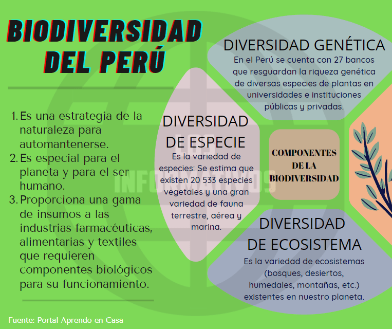 Biodiversidad del Perú Los Informativos