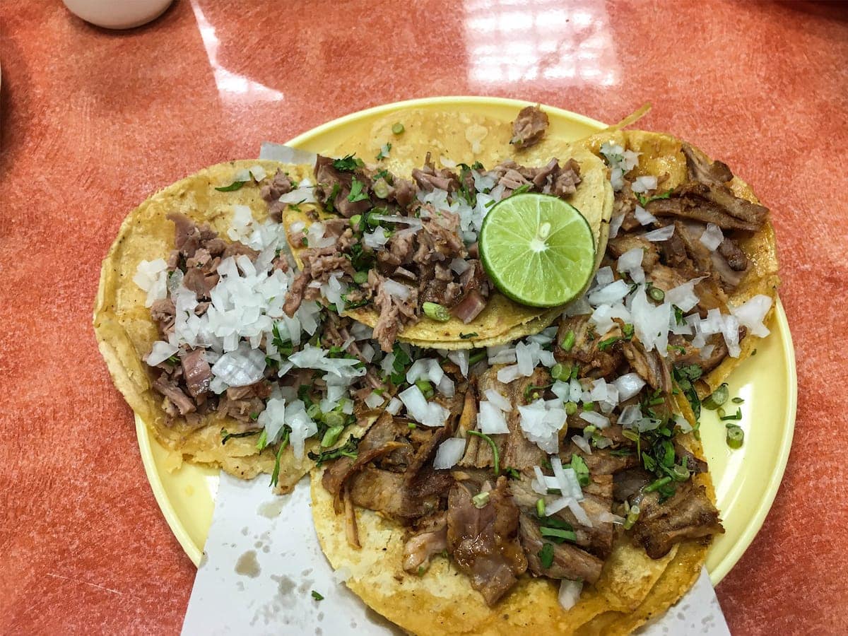Tacos de Cabeza. ¿Cómo hacerlos? Sabores de México y el Mundo
