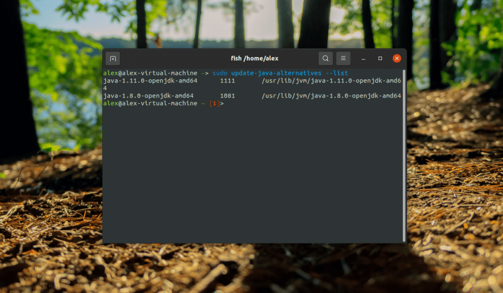 Установка Java в Ubuntu 20.04 Losst