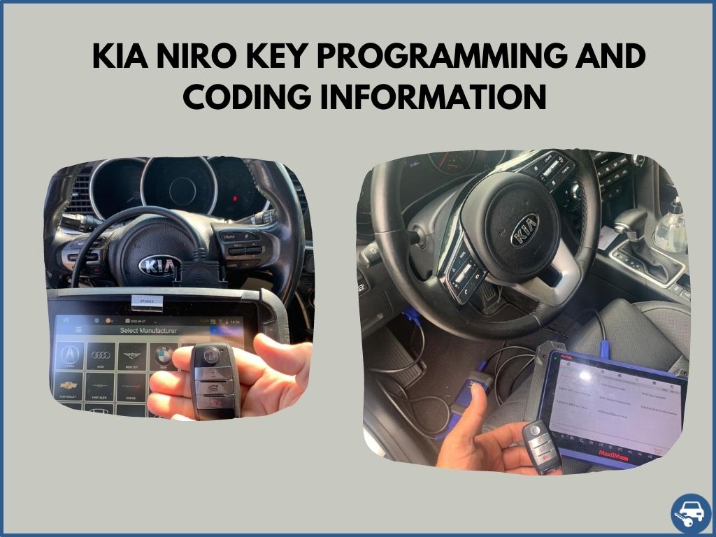 Kia Niro Key Replacement What To Do, Options, Costs & More