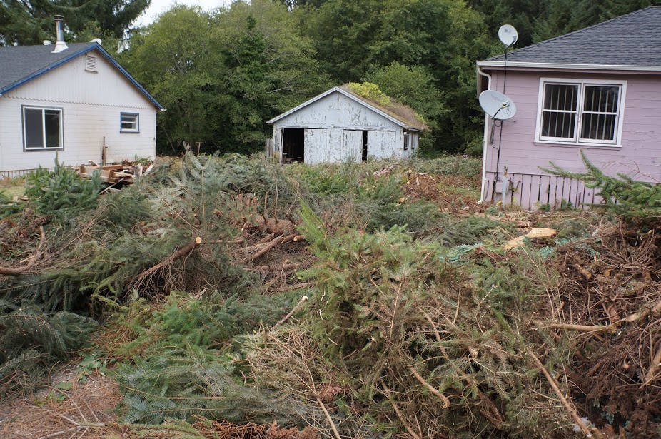 What's the Story With That Place? Big Lagoon's Ghost Town Lost Coast