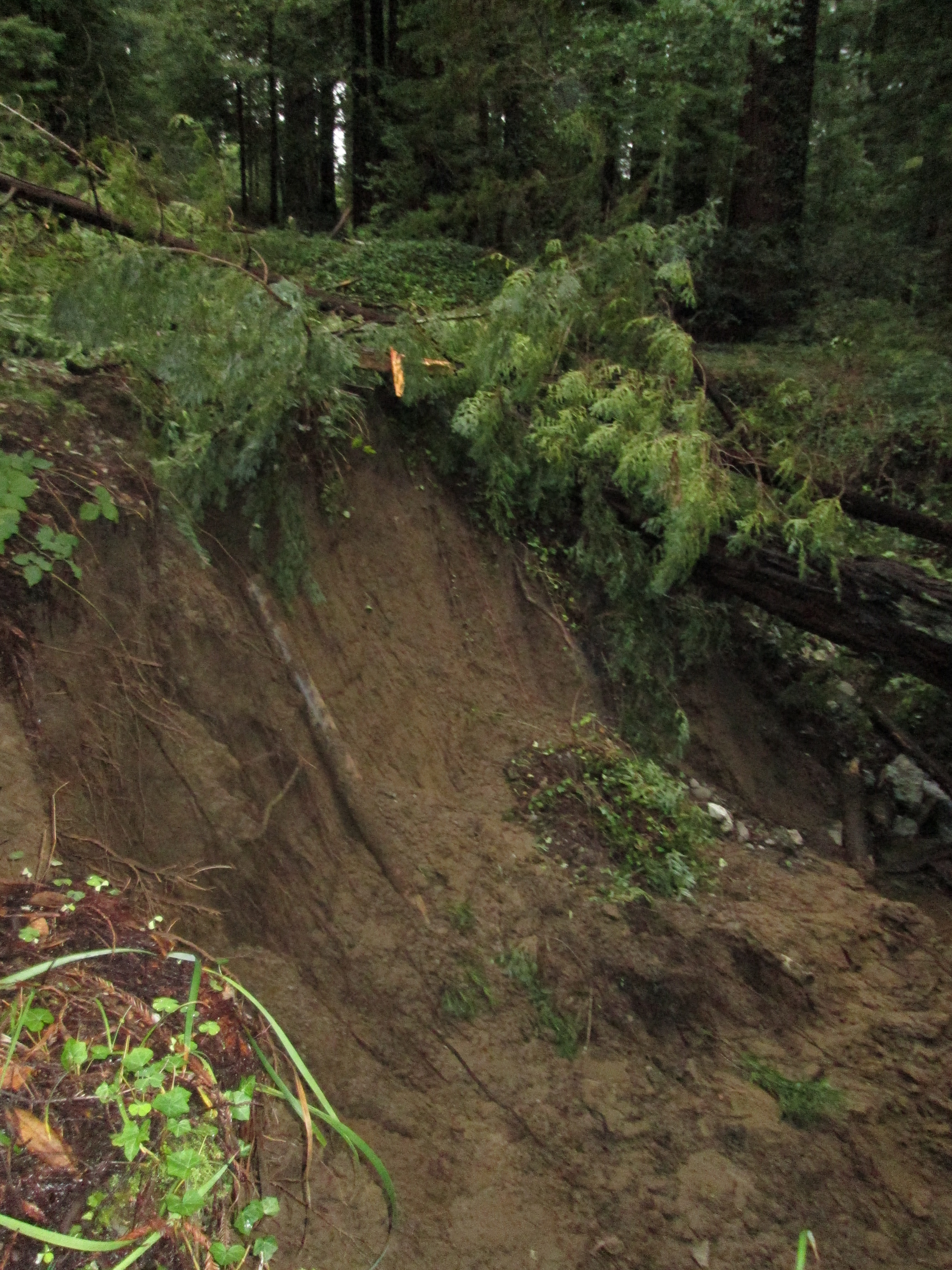 Landslide Threatens Redway's Sewer Line, Residents Urged to Prepare for