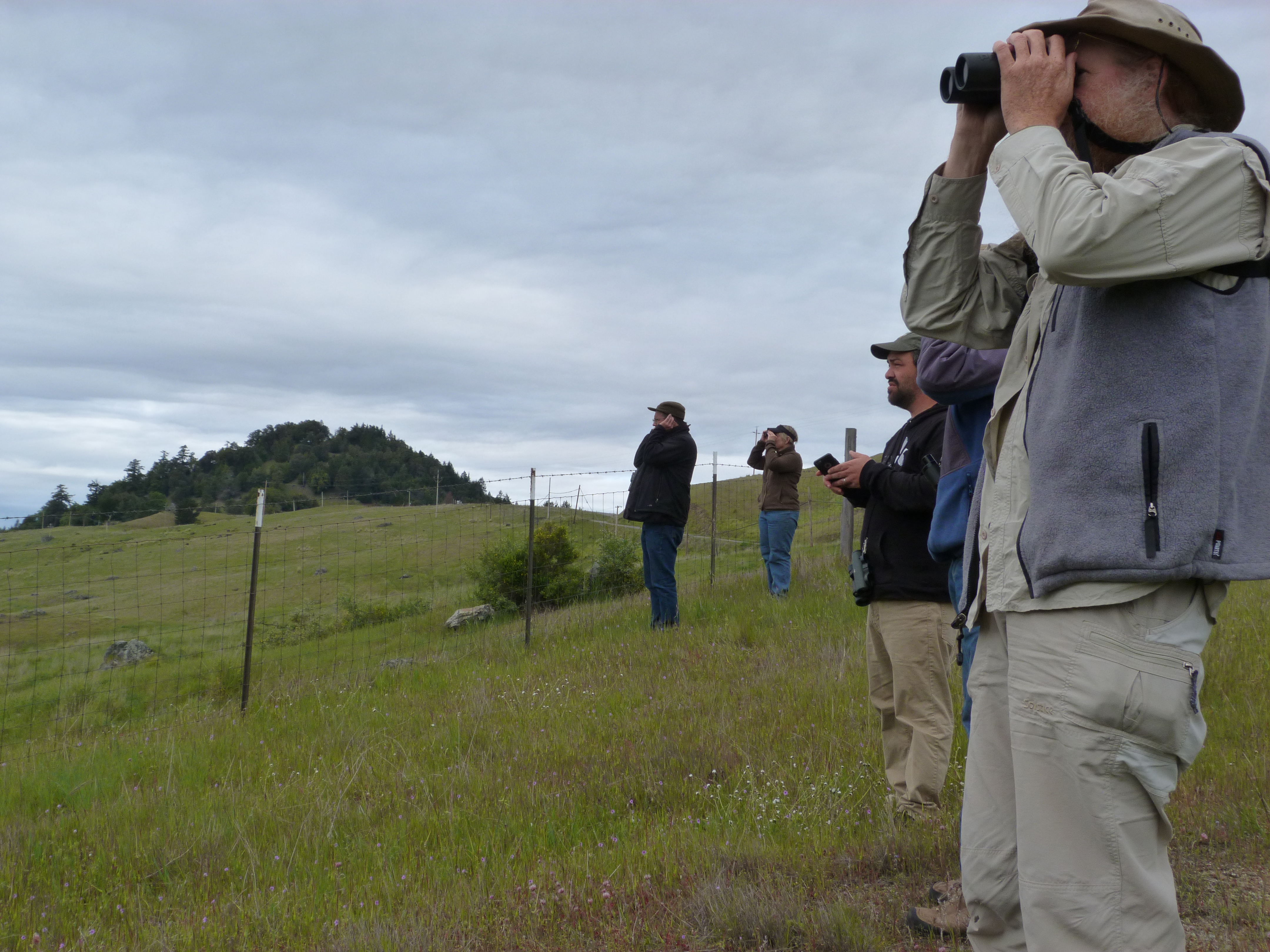 NIKKI'S NATURE RAMBLE The Other World of Alderpoint Lost Coast