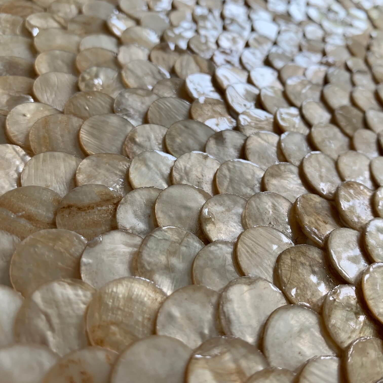 Sea Shell Capiz Rondos Lost Cowboys