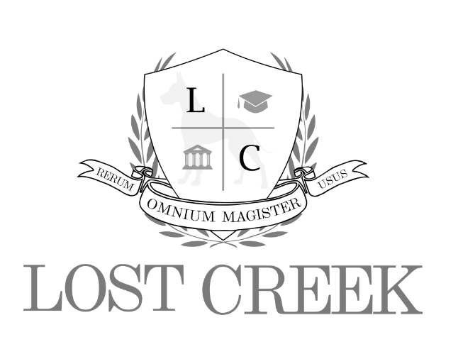 Boarding School 2 Weeks Intensive Training Dog Training Lost