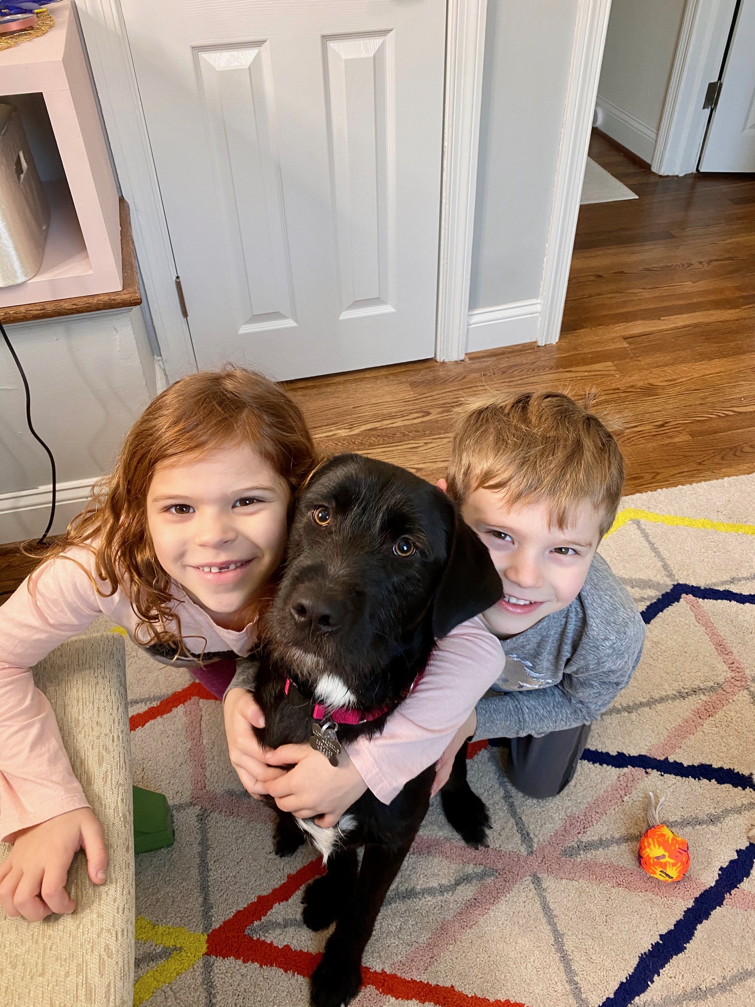 River Lost Dog & Cat Rescue Foundation