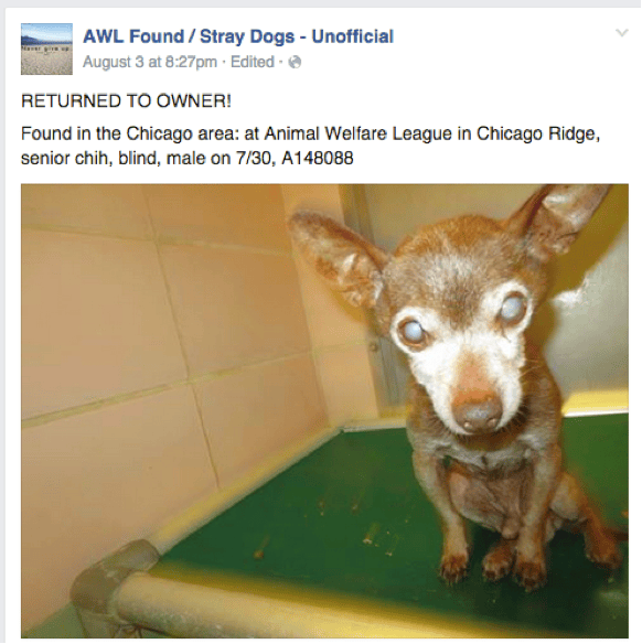 Cook County Animal and Rabies Control Lost Dogs Illinois