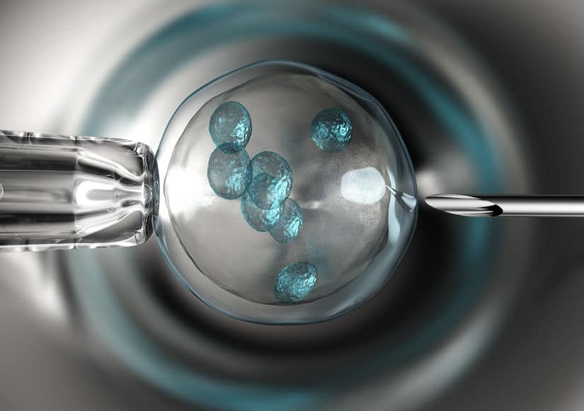 Fertility Clinic Failure Damaged Thousands of Frozen Eggs and Embryos