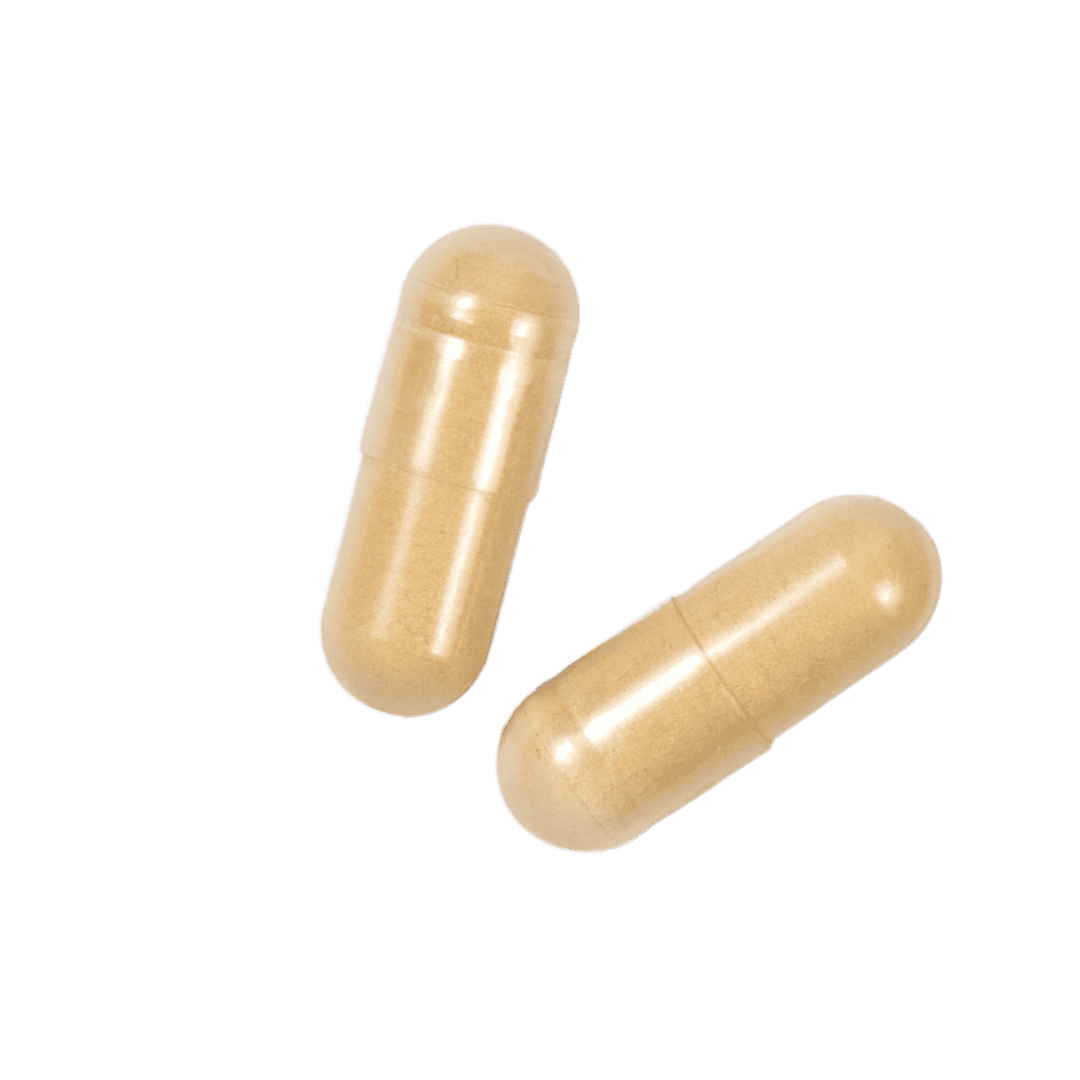 Cordyceps and Chronic Kidney Disease Lost Empire Herbs