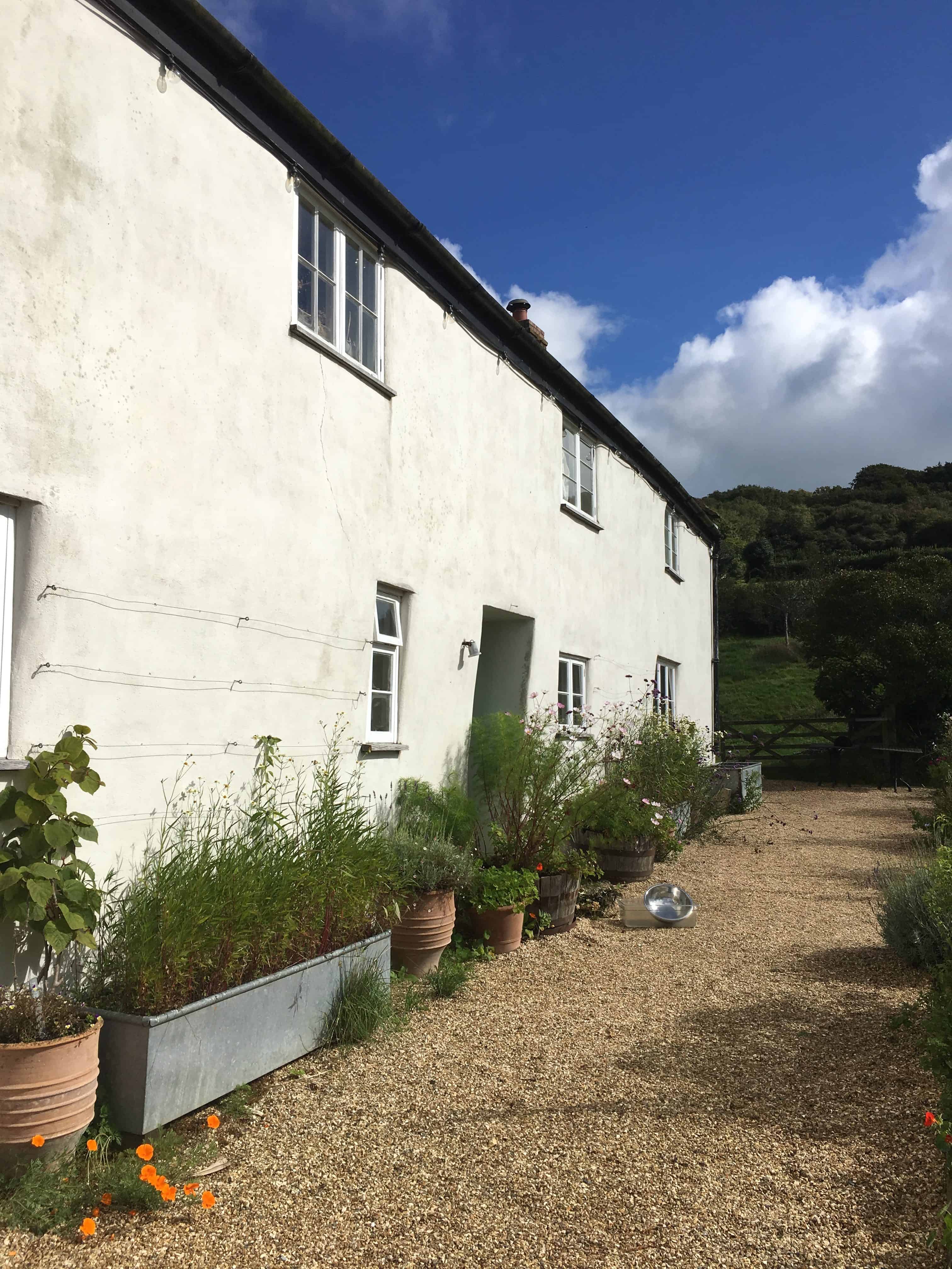 River Cottage HQ lost in food