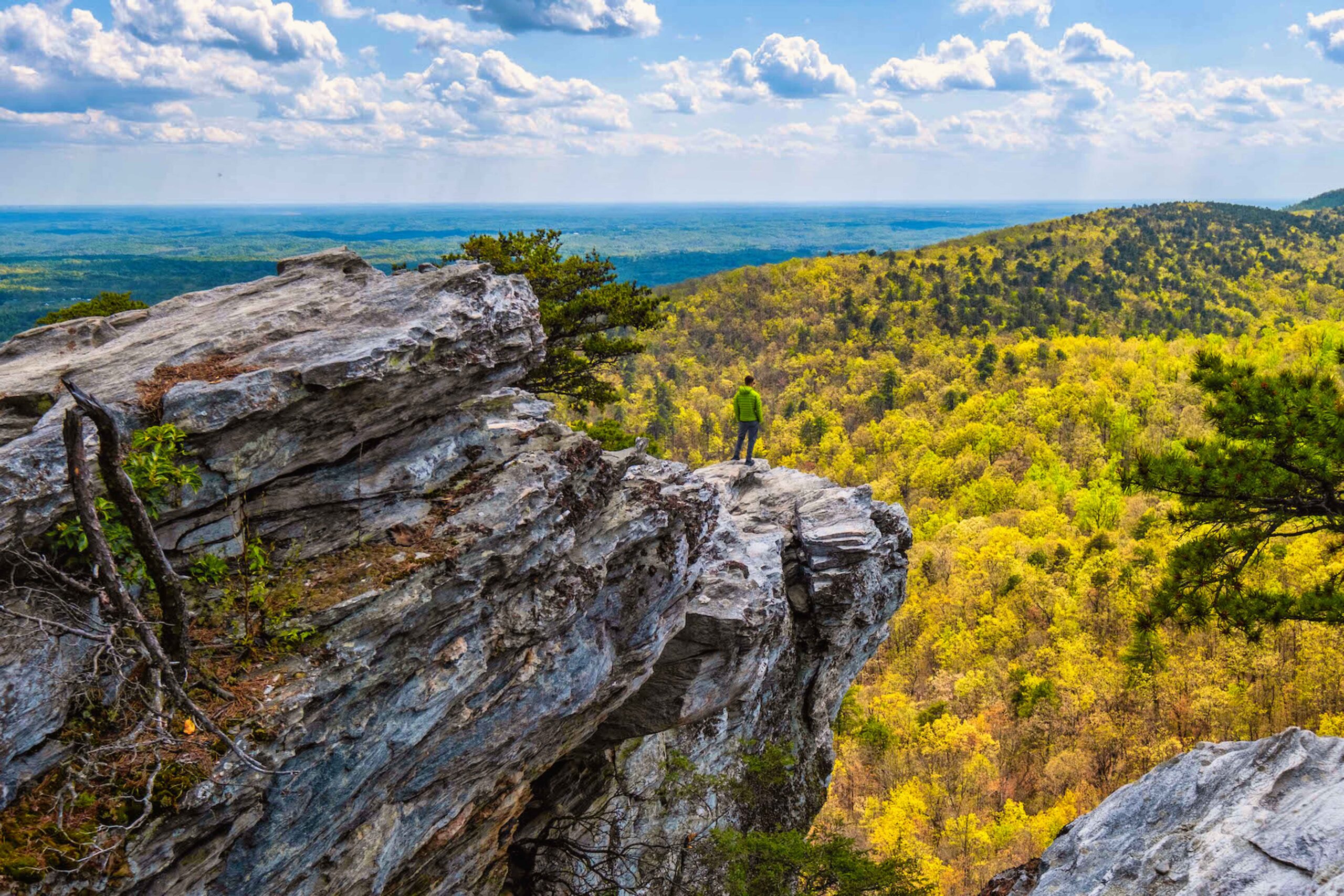 Visiting Pisgah National Forest (NC) All You NEED To Know Lost In